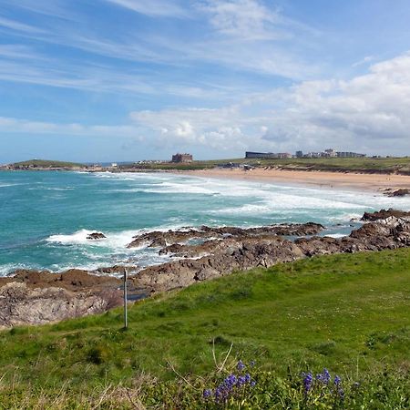 Fistral Beach Garden Apartment 3 New Quay Εξωτερικό φωτογραφία